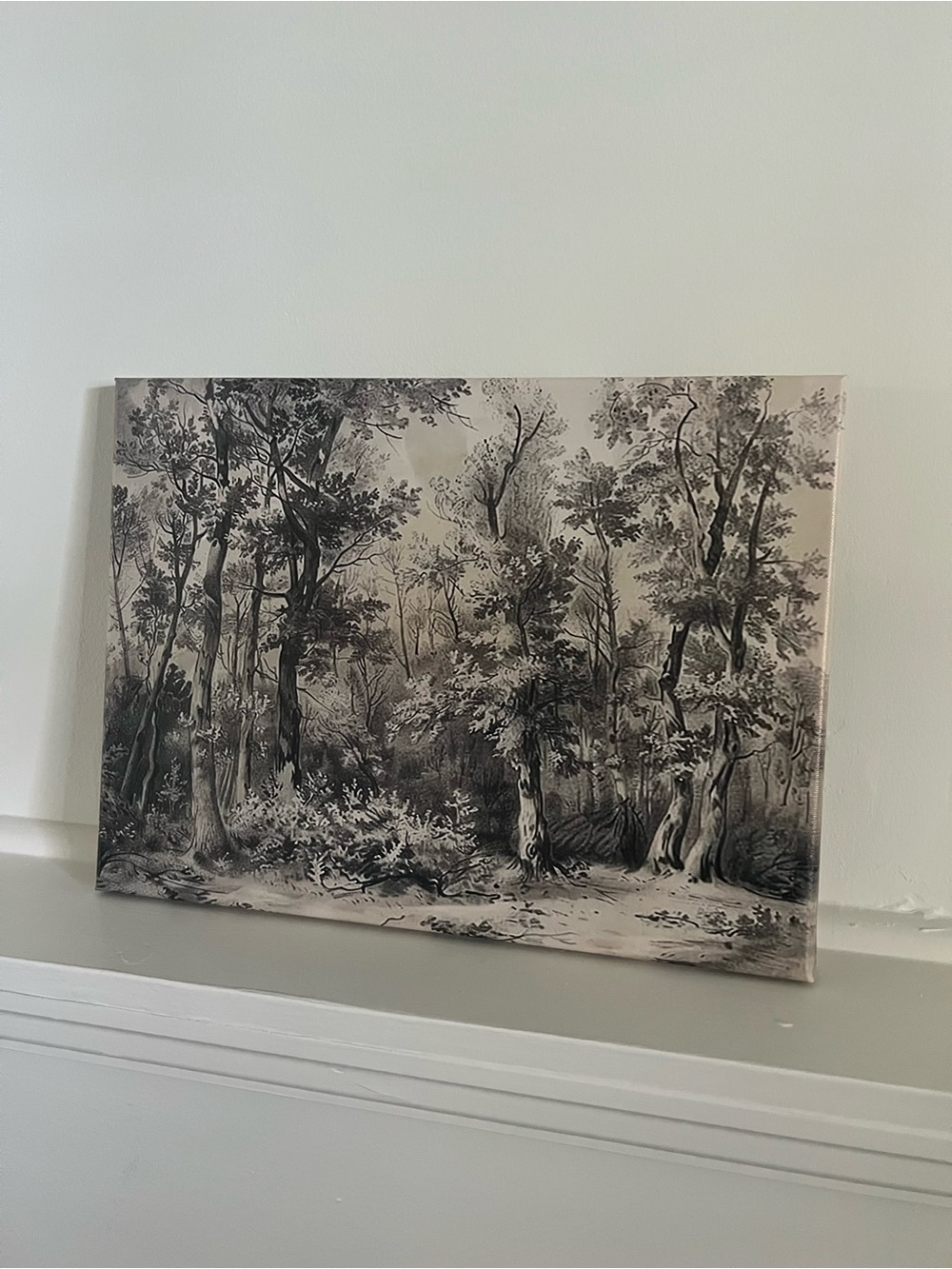 NWOT Forest Canvas Wall Art - Black & White